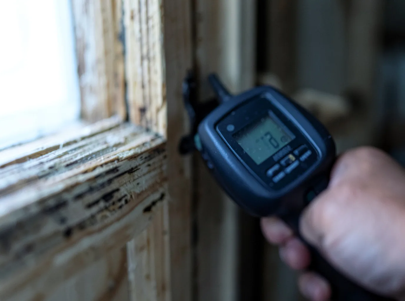 Moisture Inspection And Documentation in Mondovi, WI